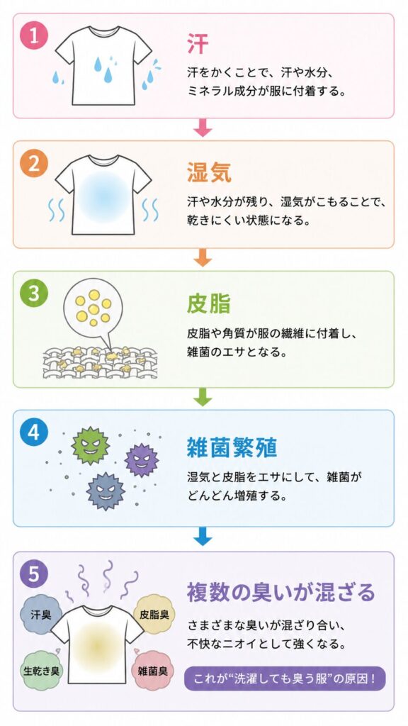 「汗
↓
湿気
↓
皮脂
↓
雑菌繁殖
↓
複数の臭いが混ざる」というサイクルをイラストを交え解説している画像