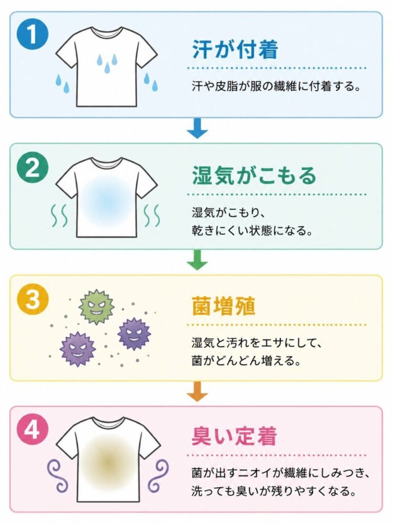 「汗が付着
↓
湿気がこもる
↓
菌増殖
↓
臭い定着」のサイクルをイラストとともに図解している画像。